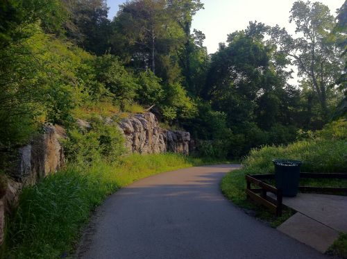 A winding path through lush greenery, flanked by rocky cliffs and a trash bin near a wooden railing.