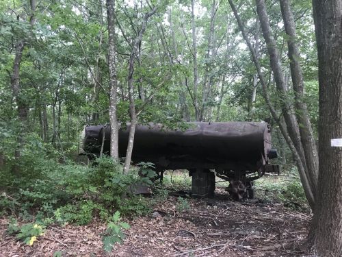 An old, rusted tanker truck partially hidden among trees in a dense forest.