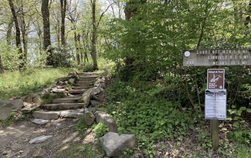 A stone staircase leads into a lush green forest, with trail signs indicating distances to various destinations.