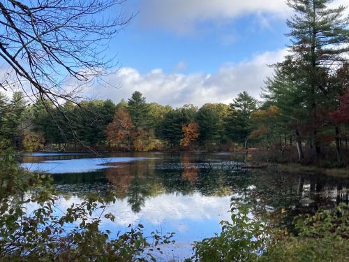 A serene lake surrounded by trees with autumn foliage under a partly cloudy sky. Reflections on the water.