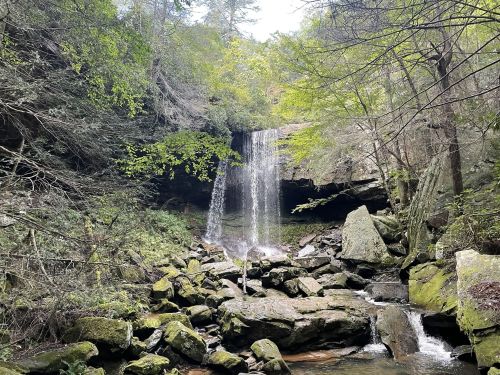 A serene waterfall cascades over rocks, surrounded by lush greenery and trees in a tranquil forest setting.