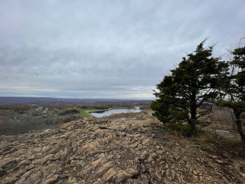 A rocky landscape with a tree overlooking a lake and distant hills under a cloudy sky.