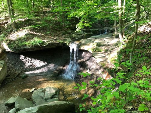 A serene forest scene featuring a small waterfall cascading over rocks into a clear stream, surrounded by lush greenery.