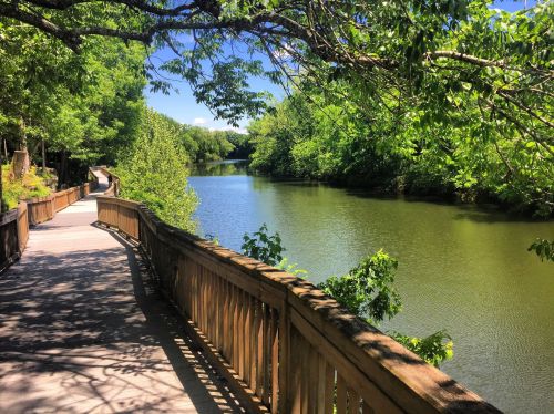 A serene pathway along a calm river, surrounded by lush green trees and a clear blue sky.