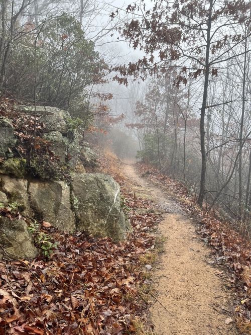 A misty trail winding through a forest, surrounded by rocks and fallen leaves.