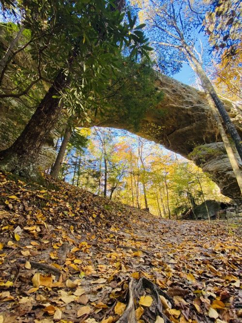 A scenic view of a stone arch surrounded by trees and autumn leaves under a clear blue sky.