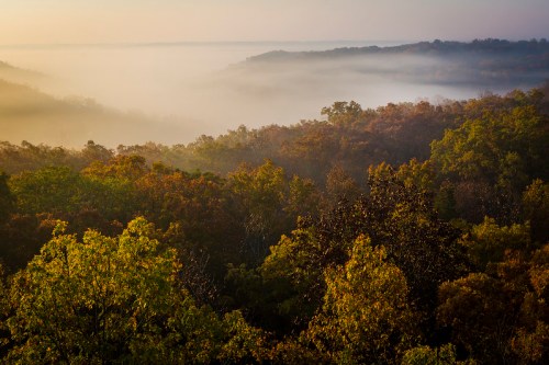 A misty landscape at dawn, with rolling hills and vibrant autumn foliage in shades of green, orange, and yellow.