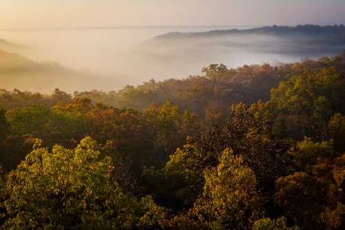 Discover Indiana's Scenic Hickory Ridge Lookout Tower