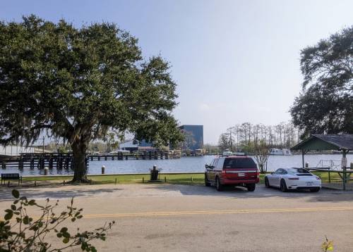 A view of a river with parked cars, a large tree, and a building in the background under a clear sky.