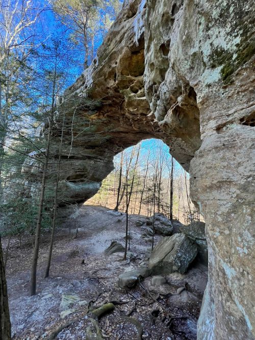 A natural stone arch surrounded by trees and a clear blue sky, with icicles hanging from the rock formation.
