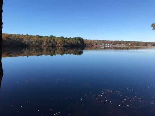 A calm lake reflecting a clear blue sky and autumn-colored trees along the shore.