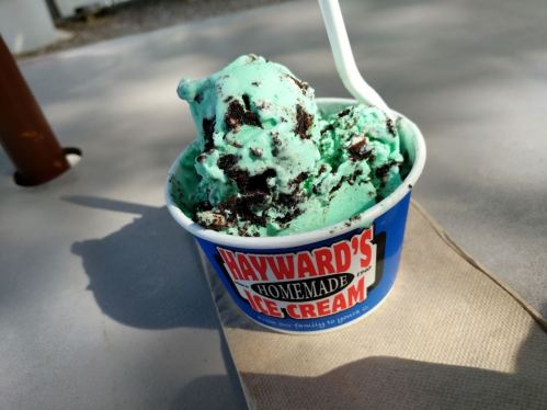 A cup of mint chocolate chip ice cream with cookie pieces, sitting on a table with a napkin nearby.
