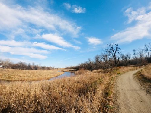 A winding path beside a river, surrounded by tall grass and trees under a blue sky with scattered clouds.