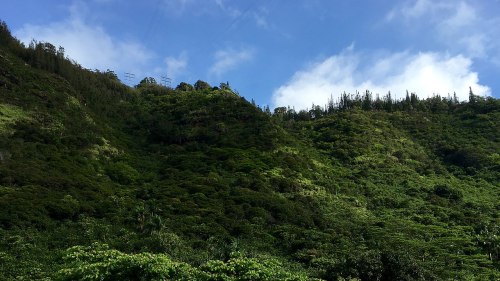 Lush green hills under a blue sky with scattered clouds and power lines in the background.