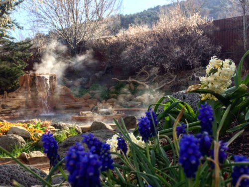 A serene garden scene with purple flowers in the foreground, a steaming water feature, and trees in the background.
