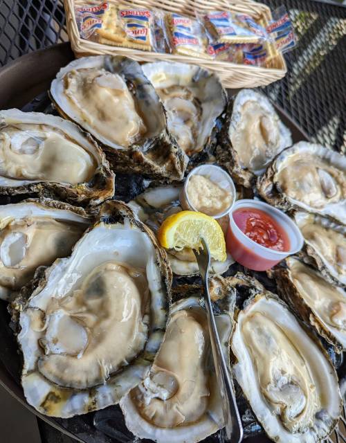 A platter of fresh oysters on the half shell, served with lemon, cocktail sauce, and crackers in the background.