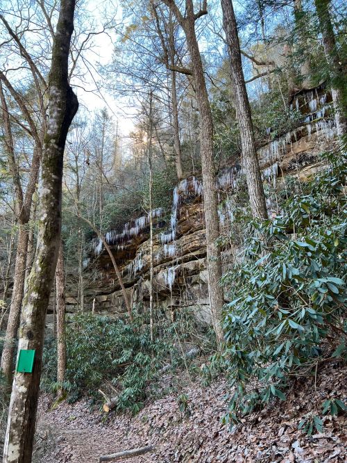 A forested trail with rocky cliffs, featuring icicles hanging from the ledge and lush greenery surrounding the path.