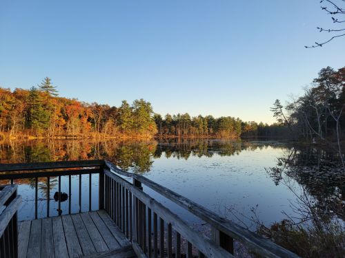 A serene lake surrounded by autumn foliage, reflecting trees under a clear blue sky. A wooden deck in the foreground.