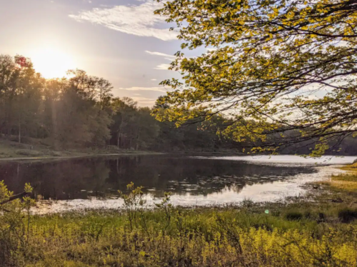 A serene lake at sunset, surrounded by trees and lush greenery, reflecting the colorful sky.