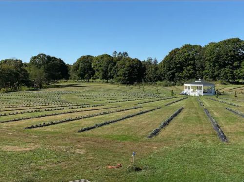 A serene landscape of a cemetery with neatly arranged rows of gravestones and a white gazebo in the background.