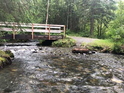 A wooden bridge spans a flowing stream, surrounded by lush green trees and a gravel path.