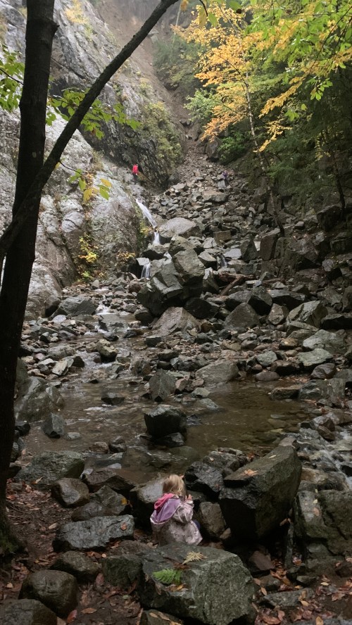 A child sits on rocks by a stream, surrounded by a forest with autumn foliage and a distant figure climbing a slope.