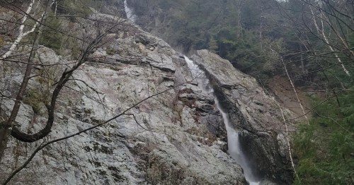 A cascading waterfall flows down rocky cliffs, surrounded by trees and a misty atmosphere.