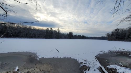 A serene winter landscape featuring a frozen lake surrounded by trees under a cloudy sky.