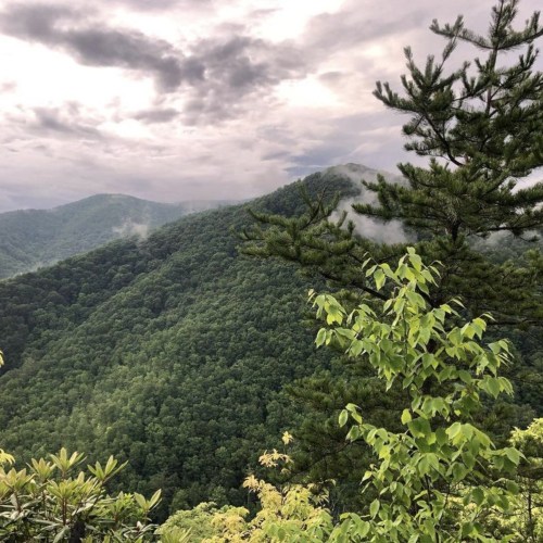 Lush green mountains under a cloudy sky, with trees in the foreground and mist rising in the distance.