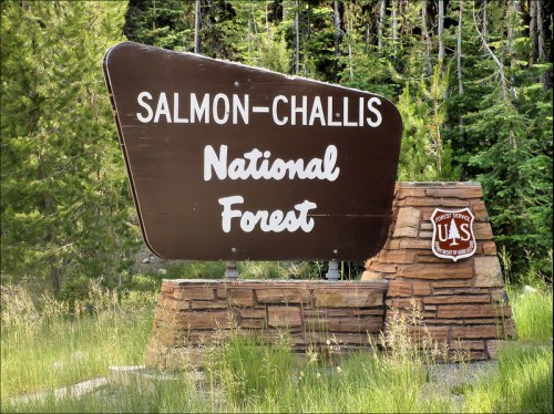 Sign for Salmon-Challis National Forest, surrounded by green trees and grass.