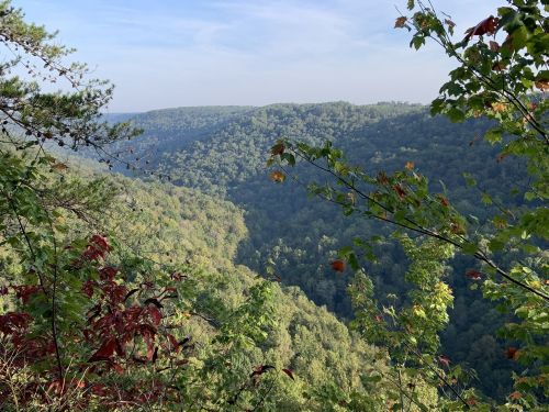 A scenic view of lush green hills and valleys under a clear sky, framed by colorful autumn leaves.