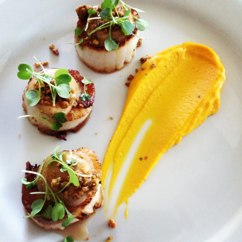 Three seared scallops topped with microgreens, accompanied by a vibrant yellow puree on a white plate.