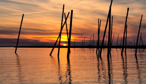 Silhouetted poles rise from calm water at sunset, reflecting vibrant orange and purple hues in the sky.