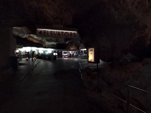 Dimly lit cave entrance with a sign reading "ELEVATORS" and a pathway leading into the cavern.