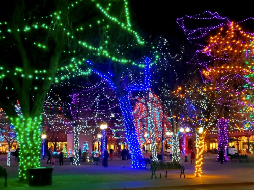 Colorful holiday lights adorn trees in a festive park at night, creating a vibrant and cheerful atmosphere.