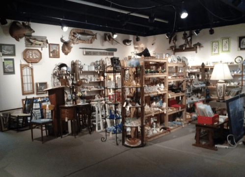 A cozy antique shop filled with various vintage items, shelves, and decor, featuring taxidermy on the walls.