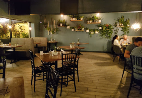 Cozy restaurant interior with wooden tables, black chairs, and greenery on the walls, featuring diners in the background.