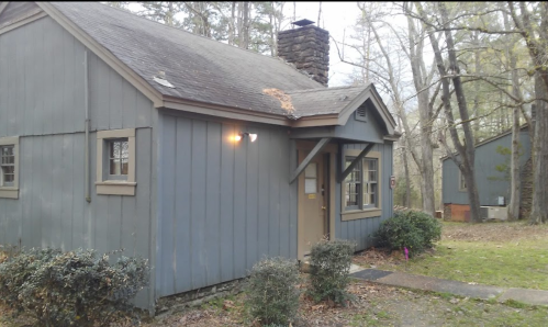 A small blue house with a stone chimney, surrounded by trees and shrubs, in a quiet outdoor setting.