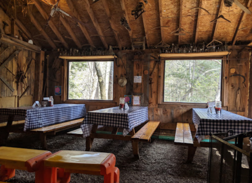 Cozy rustic dining area with wooden tables, checkered tablecloths, and large windows overlooking a forest.