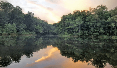 A serene lake at sunset, reflecting trees and a colorful sky, surrounded by lush greenery.