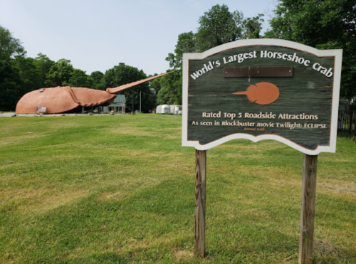 Sign for the world's largest horseshoe crab, featuring a large crab sculpture in a grassy area.