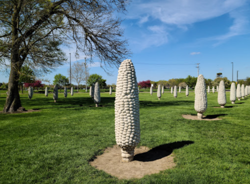 A park with unique stone sculptures resembling corn stalks, surrounded by green grass and trees under a blue sky.
