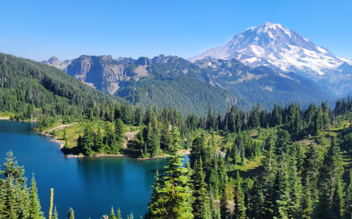 A serene landscape featuring a clear blue lake surrounded by lush green trees, with a snow-capped mountain in the background.