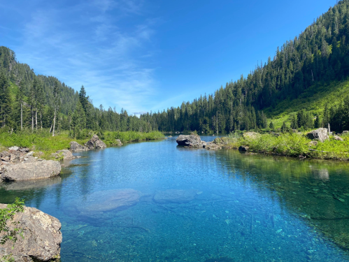 A serene river surrounded by lush green trees and rocky banks under a clear blue sky.