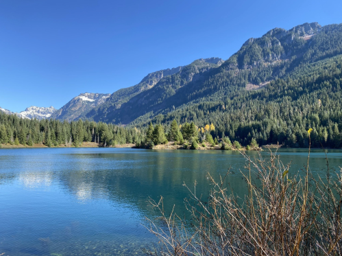 A serene lake surrounded by lush green forests and mountains under a clear blue sky.