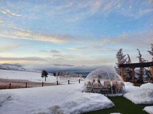 A clear dome sits on snow-covered ground, overlooking a scenic winter landscape with mountains and a cloudy sky.