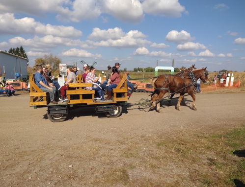 A horse-drawn wagon carries passengers along a dirt path on a sunny day, with blue skies and fluffy clouds above.