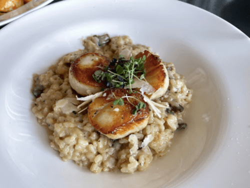 A plate of creamy risotto topped with three seared scallops and garnished with microgreens and cheese.
