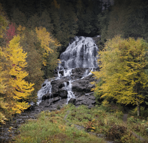 A cascading waterfall surrounded by vibrant autumn foliage in shades of yellow and green.