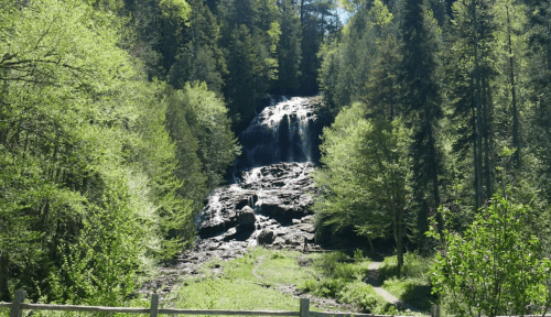A serene waterfall cascades down rocky terrain, surrounded by lush green trees and vibrant foliage.